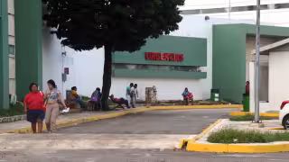 Casos de dengue aumentan 33% en Quintana Roo durante 2026