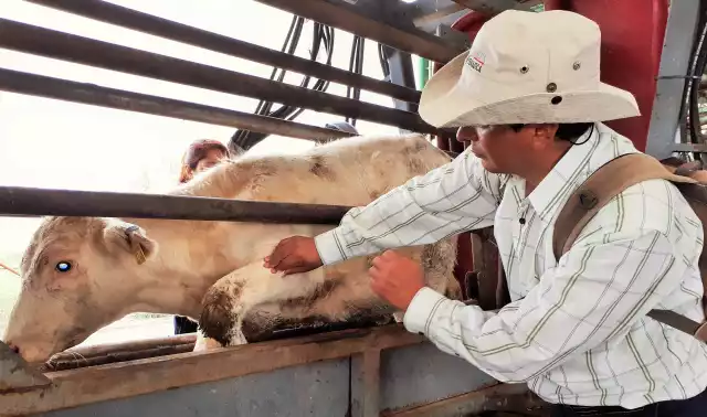 La última víctima humana del gusano barrenador ya fue dada de alta luego de presentar mejoría