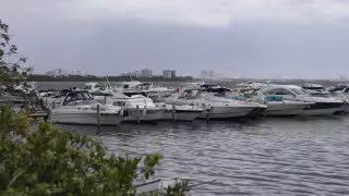 Sector náutico de Quintana Roo anticipa cierre de empresas y “días solidarios”; afectará a 20 mil trabajadores