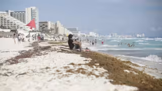 ¡Alerta! Prohíben acceso a más del 80% de playas de Cancún; conoce cuáles son