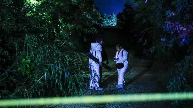 De acuerdo con informe, tres de los ejecutados eran elementos de extinta dependencia policial y dos “madrinas”