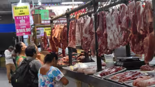 Consumo de carne de cerdo superó casi diez veces al de res en Yucatán durante 2025