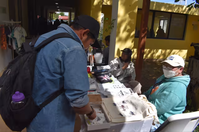 Especialistas advierten una reducción de hasta 30% por deforestación y la pérdida de hábitat