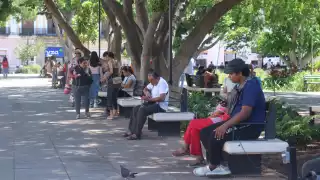 Sedentarismo, el enemigo de los yucatecos; ni las tortas de cochinita agravan los índices de obesidad en el estado 