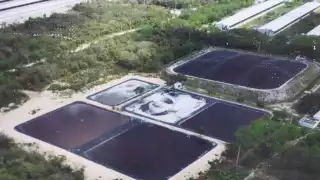 Alertan sobre grave daño  ambiental en Yucatán: Granjas de cerdos generan 12 mil toneladas diarias de desechos en 86 municipios 