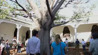 Agua en Yucatán, un privilegio; acusan de favorecer  a empresas por encima de la población