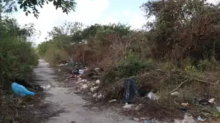 Ayuntamiento multaría a dueños de más de 600 terrenos baldíos en Mérida 