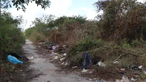 El Ayuntamiento de Mérida aplicará multas a propietarios y hace un llamado a la responsabilidad urbana