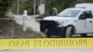 El 51% de las denuncias se han registrado durante 2024