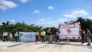 Grupos porcícolas procederán  a una audiencia el 6 de febrero.