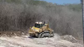 Pese a programas de protección el ecosistema sigue en deterioro