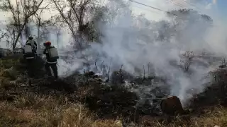 Yucatán registra dos mil incendios en tres meses de la temporada 2024