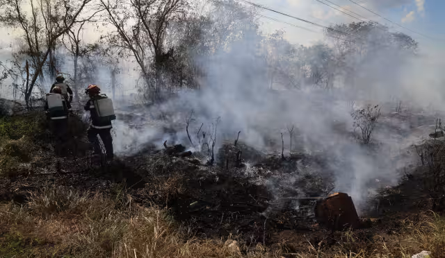 Se han recibido 2 mil reportes de incendios, desde “montículos” de basura hasta grande extensiones de monte