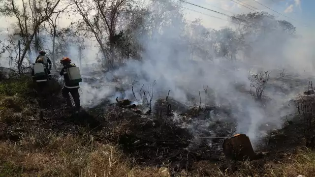 Se han recibido 2 mil reportes de incendios, desde “montículos” de basura hasta grande extensiones de monte