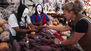 Los insumos para la preparación del pib se venden en los mercados Lucas de Gálvez y San Benito,