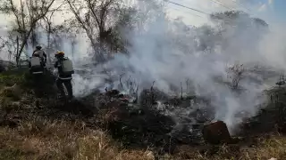 Se han recibido 2 mil reportes de incendios, desde “montículos” de basura hasta grande extensiones de monte