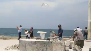 Retiran los dos delfi nes que adornaban el muelle del puerto para dar paso a Chaac