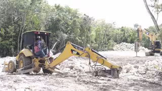 130 mil hectáreas menos: impacto ambiental en Quintana Roo