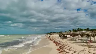 Las actividades turísticas no serán suspendidas a pesar de la presencia de marea roja