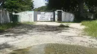 Clausuran granja porcina en Mérida tras denuncias por daños a la salud y el ambiente