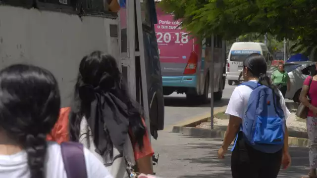 No hay alza en el pasaje del transporte público de Cancún