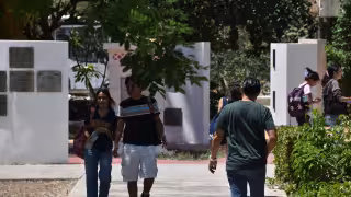 Convocan a estudiantes de Arqueología en Yucatán para participar en proyectos científicos del INAH