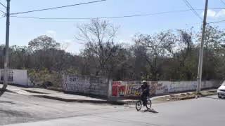 En lo que va del año se han impuesto 40 multas a propietarios que no limpian sus terrenos