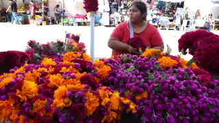 La Canaco Mérida afirmó que las festividades contribuyen significativamente al bienestar económico local, impulsando la actividad de pequeños y medianos negocios.