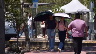 Las temperaturas superiores a 40 grados incrementan el riesgo de incendios forestales