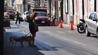 Activistas contabilizan 850 denuncias formales ante la FGE este año, pero el proceso es lento