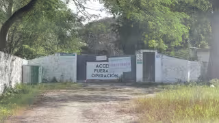 Vecinos de Santa María Chi no ven intención de retirar los animales, como ordenó Profepa