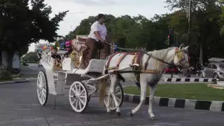 El conductor, que fue expulsado de la agrupación, fue grabado golpeando a un caballo