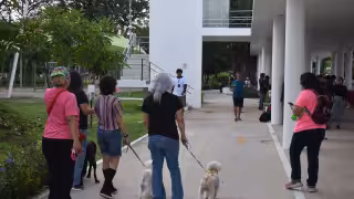 La UNAM advierte que acumular animales sin cuidados es un trastorno mental