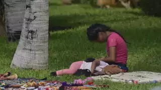 Las cifras son del último censo realizado por el Inegi, pero según el Sipinna, podría ser mucho mayor