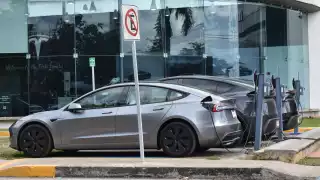 Cifras oficiales señalan que en el 2025 se comercializaron 313 unidades, 47 menos que el 2024