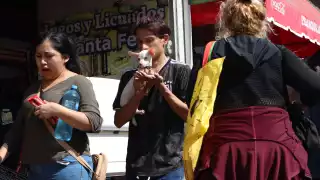 Pepino y manzana sin semillas son comidas balanceadas para mascotas