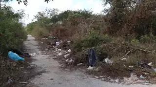 El Ayuntamiento de Mérida aplicará multas a propietarios y hace un llamado a la responsabilidad urbana