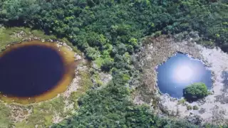Se necesita medir la cuenca de Yucatán, determinar los focos y el grado de contaminación para que se revierta ese daño