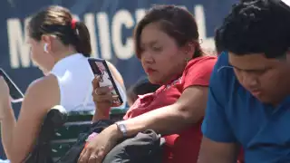 Los municipios con más agresiones son Kanasín, Mérida, Tizimín, Umán y Progreso