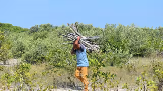 Yucatán busca liderar discusión climática con foro sobre conservación costera