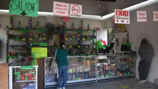 La Feria de la Pirotecnia ofrece desde lo más sencillo hasta vistosos espectáculos luminosos