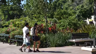 De marzo a junio se da un periodo clave desde el punto de vista climático, ambiental y cultural