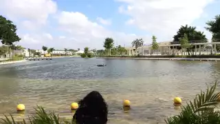 Prevén que el anfiteatro alcance su capacidad máxima de asistentes