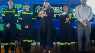 La UPA registró un total de 80 denuncias por maltrato animal en el mes de noviembre