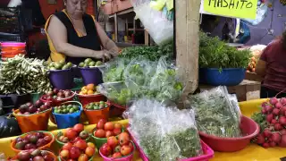 Milpa maya, vital para los mercados de Mérida, busca su día oficial y protección estatal