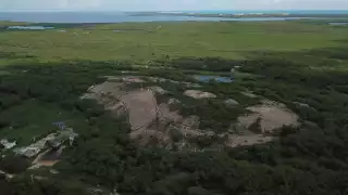 Los activistas  han presentado  denuncias a la  Profepa y en la PPA,  desde hace 8 años,  sin resultados
