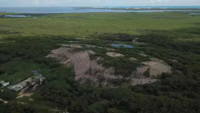 Los activistas  han presentado  denuncias a la  Profepa y en la PPA,  desde hace 8 años,  sin resultados