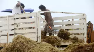 Especialistas dijeron que podría poner en peligro la vida, debido a los altos índices de amoniaco