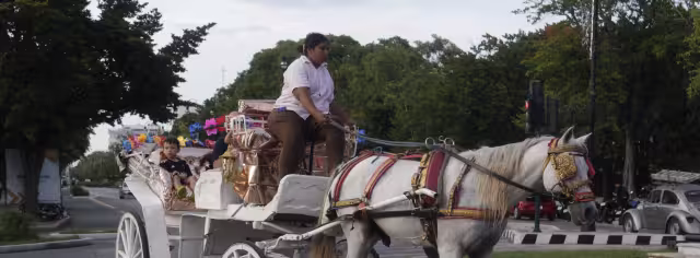El conductor, que fue expulsado de la agrupación, fue grabado golpeando a un caballo