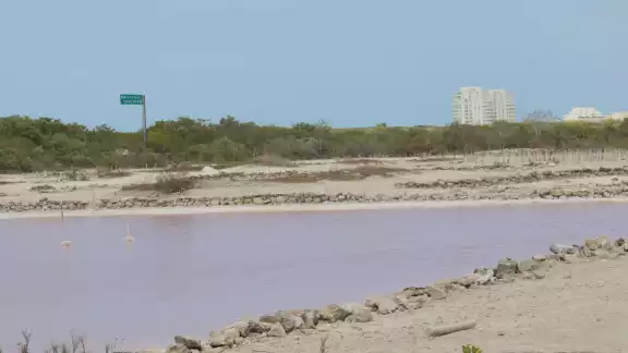 Los proyectos inmobiliarios en la costa yucateca ponen en riesgo los recursos naturales de otros municipios Los proyectos inmobiliarios en la costa yucateca ponen en riesgo los recursos naturales de otros municipios